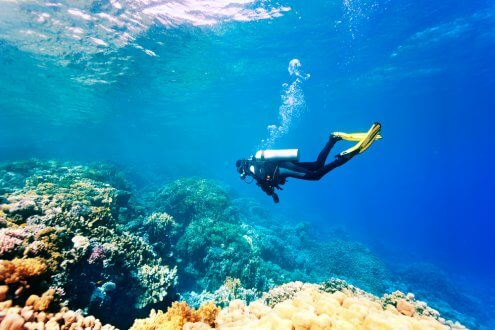 Scuba Diving